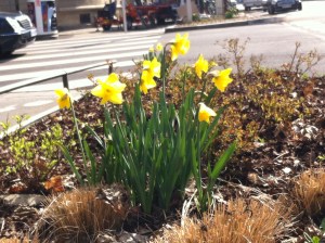 Happy Birthday Mom.  Love you so much.