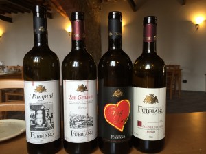 Delicious Tuscany wines at the Fattoria Fabiano