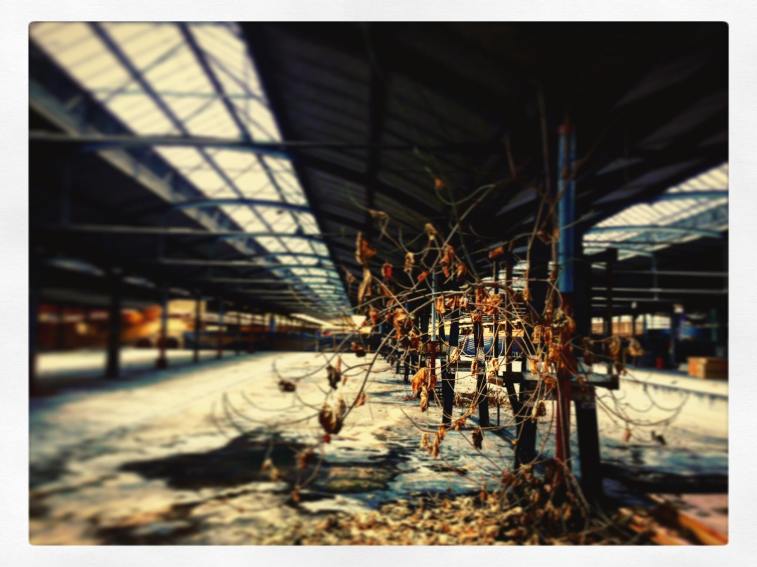 17240528_10155184722459874_5976172569732802653_o